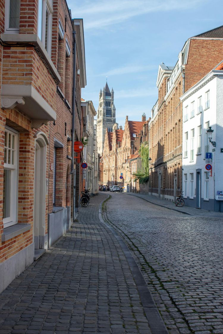 Ruimtelijke advies omgevingsadviseur stad dorp platteland omgeving